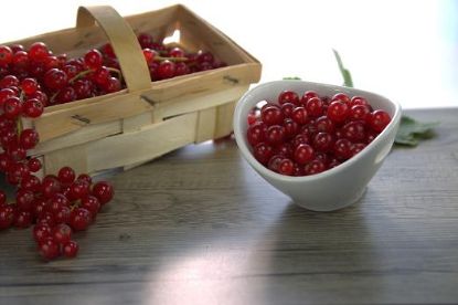 Bild von 10KG TK-JOHANNISBEEREN ROT