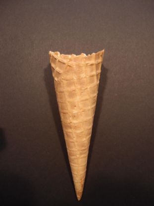 Bild von TOSCANA-HÖRNCHEN FK OR 50/158mm (350)