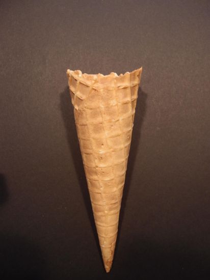 Bild von TOSCANA-HÖRNCHEN FK OR 50/158mm (350)