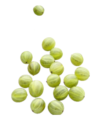 Bild von 10KG TK-STACHELBEEREN