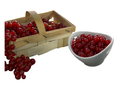 Bild von 10KG TK-JOHANNISBEEREN ROT