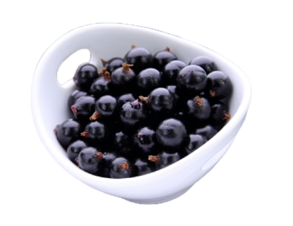 Bild von 10KG TK-JOHANNISBEEREN "SCHWARZ"