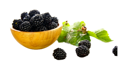 Bild von 10KG TK-BROMBEEREN