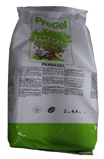 Bild von PANNAGEL BASE