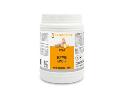 Bild von *DD 45504 INGWER PASTE